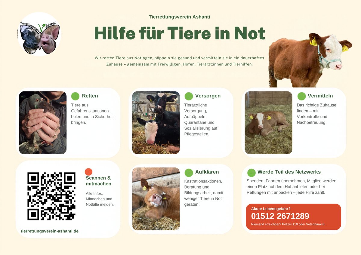 Der gestaltete Flyer – Vorderseite