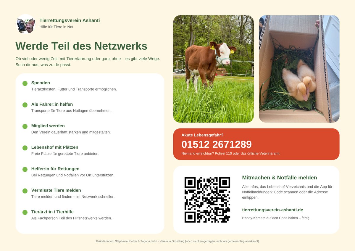 Der gestaltete Flyer – Rückseite