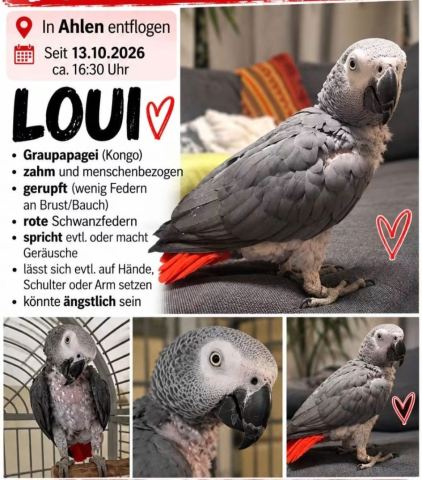Foto zur Meldung T-00018