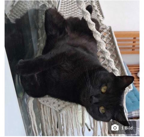 Foto zur Meldung T-00019