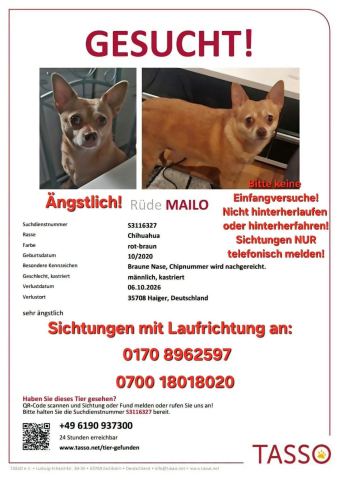 Foto zur Meldung T-00022