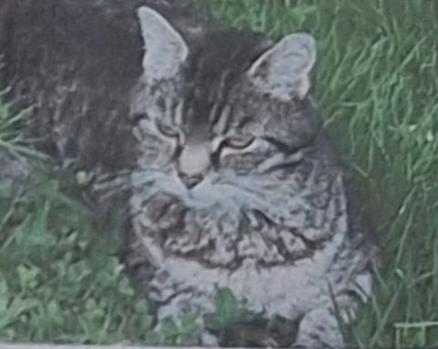 Foto zur Meldung T-00012