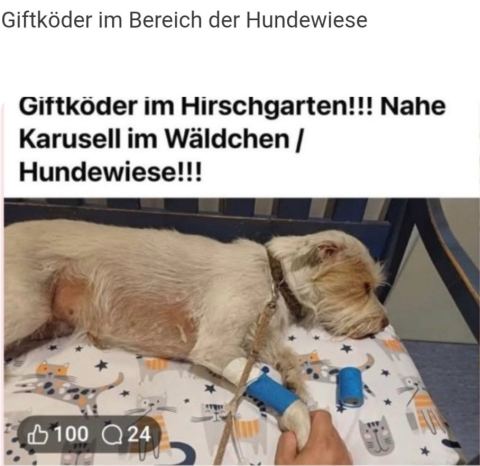 Foto 1 zur Warnung G-00019, groß ansehen