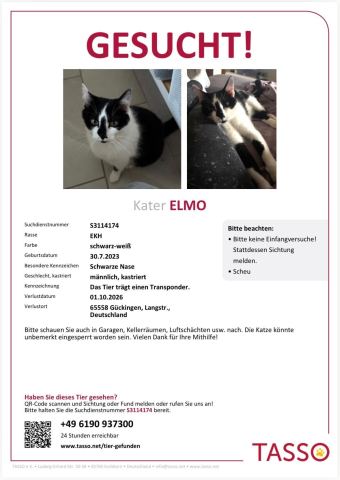 Foto zur Meldung T-00014