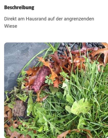 Foto 4 zur Warnung G-00021, groß ansehen