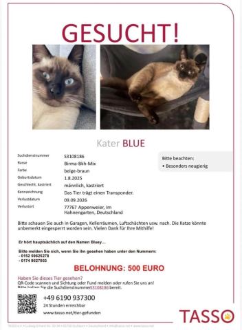 Foto zur Meldung T-00025
