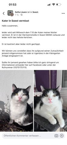 Foto zur Meldung T-00026