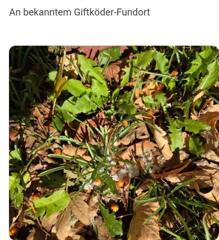 Foto 3 zur Warnung G-00020, groß ansehen