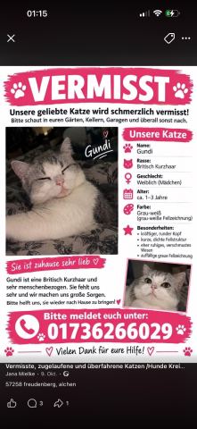 Foto zur Meldung T-00023
