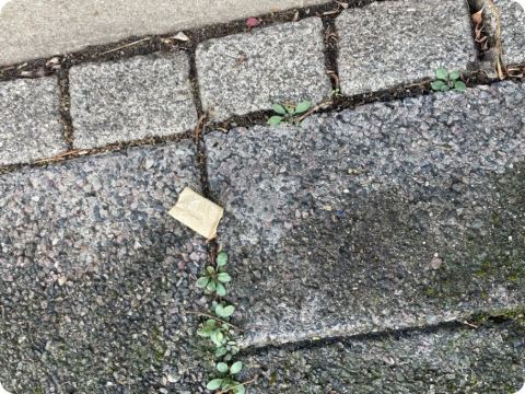 Foto 1 zur Warnung G-00014, groß ansehen